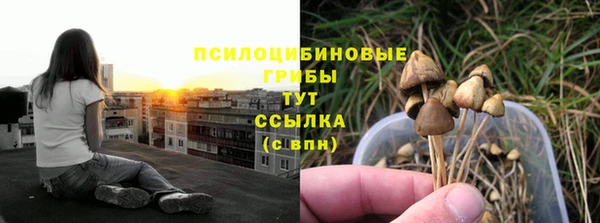 меф Елабуга