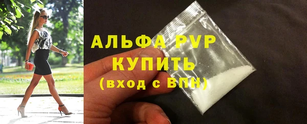 гашик Елизово