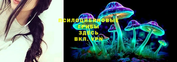 гашик Елизово