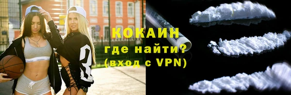 гашик Елизово