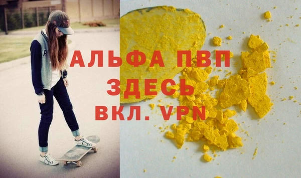 гашик Елизово