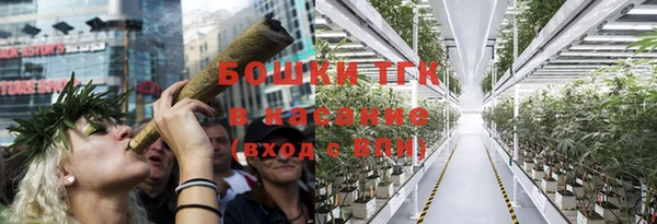 гашик Елизово