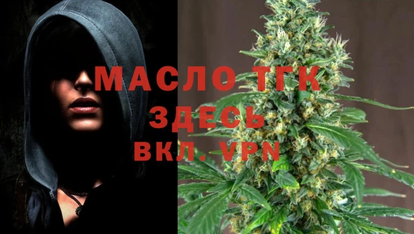 гашик Елизово