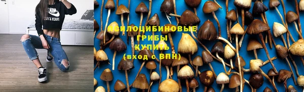 гашик Елизово