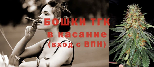 гашик Елизово